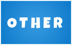 Other Donation Amount